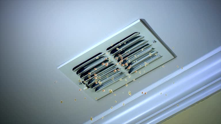 Best Commercial Air Duct Cleaning  in Opa Locka, FL