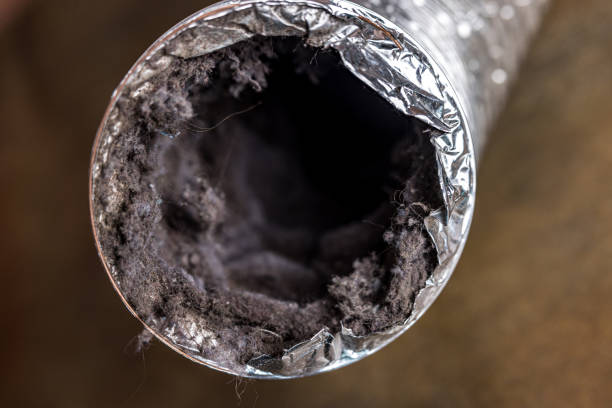Best Ventilation Cleaning Services  in Opa Locka, FL
